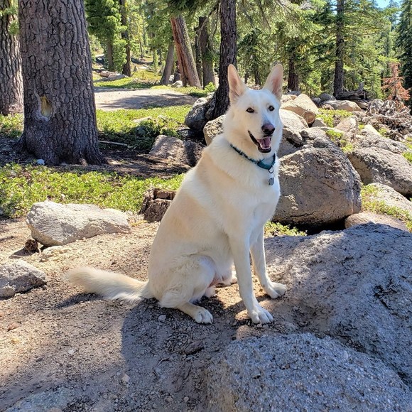 Meet your Posher, Rv - Picture 1 of 1